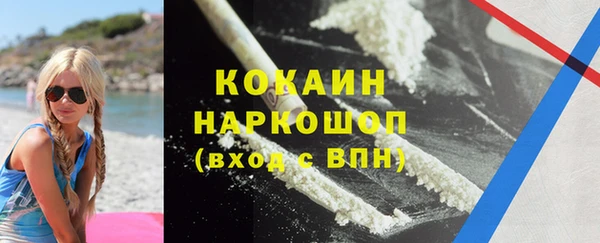 дживик Бородино