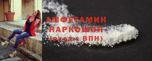 дживик Бородино