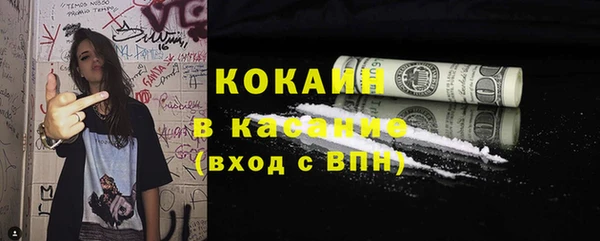 дживик Бородино