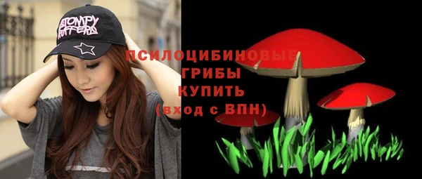 ALPHA PVP Переславль-Залесский