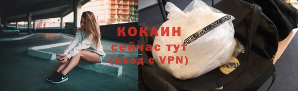 дживик Бородино