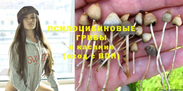 дживик Бородино